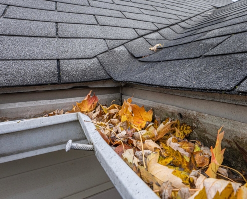 Image of a clogged roof gutter.